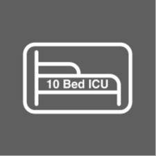 10 Bed ICU logo